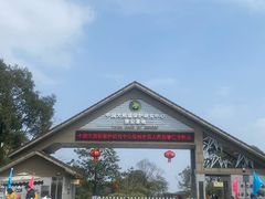 -中国大熊猫保护研究中心雅安碧峰峡基地