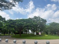 -深圳湾公园(南山区)