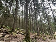 -芦芽山旅游度假区
