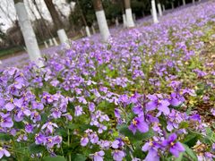 -钟山体育运动公园