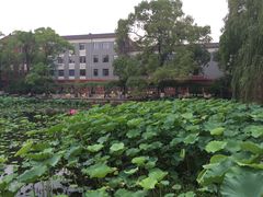 -四川大学(望江校区)