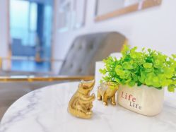 -MIVI野生眉纹绣纹眉