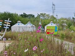 -西部长青自然儿童乐园