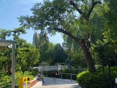 -兰溪青年公园