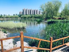 景点-燕郊植物园