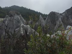 -千岛湖石林