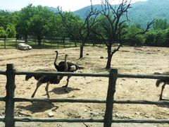 -西安秦岭野生动物园