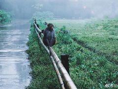 -重庆雨台山风景区