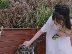 -青岛第三海水浴场