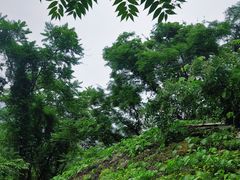 -秦岭终南山世界地质公园翠华山景区
