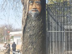 -商丘市人民公园