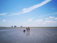 -南汇嘴观海公园