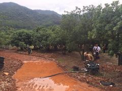 -逸廊大堂吧-下午茶·简餐-千岛湖自由洲际殿