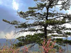 -北岳恒山