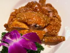 -天府中餐厅·粤菜·海南菜·生猛海鲜(三亚海棠湾洲际度假酒店)
