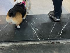 -闽公馆·客家私房菜·商务宴请·包厢(杏林橡树湾店)