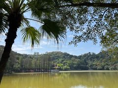 -西樵山风景名胜区-天湖公园