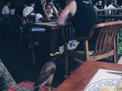 -卷心菜和避孕套餐厅(Pattaya)