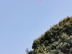 -八卦田遗址公园