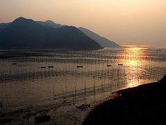 -北岐滩涂
