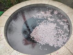-咸宁万豪温泉谷度假区