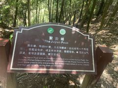 -缙云山景区
