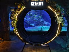 -沈阳海洋探索中心