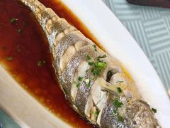 深海大黄鱼-江南村酒家