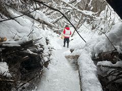 -峡谷浮石林景区