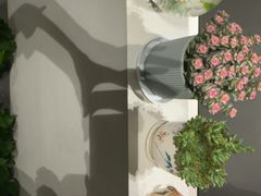 -东方菩提养生SPA馆(武昌总店)