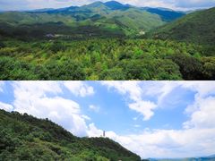 -大余丫山旅游度假区