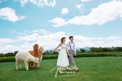 -太古映画婚纱摄影(天河店)