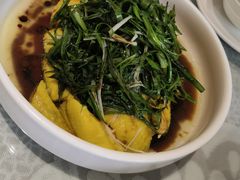-熠盛粤味·顺德桑拿鸡(永康路店)