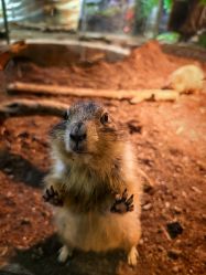 -Zoolung Zoolung动物主题公园(海信广场店)