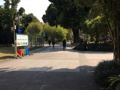 -晓港公园