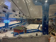 -长沙湘江欢乐雪域