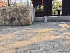 -江心屿景区