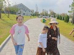 -盐城丹顶鹤湿地生态旅游区
