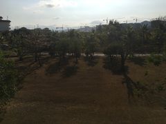 -三亚珠江南田温泉度假区