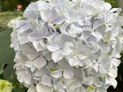 -常州古运河南大街文化旅游区-人民公园