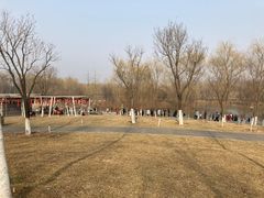 -西安浐灞国家湿地公园