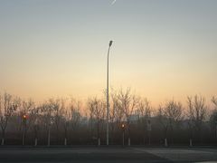 -洪湖里高汤云吞