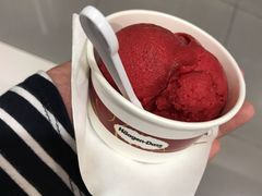 -哈根达斯(朝阳大悦城店)