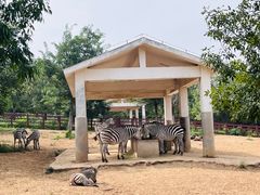 -石家庄市动物园