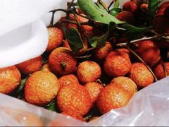 -坂田(地铁站)