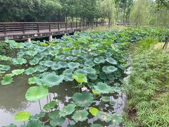 -沐仙湖湿地公园