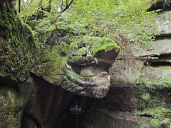 -汤旺河林海奇石景区