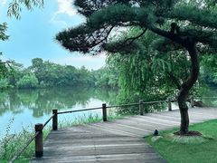 -新荣记(西溪湿地店)