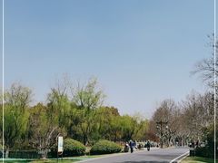 -宜兴龙背山森林公园