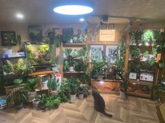 -Rabbit Cafe私房西餐甜点咖啡(栖霞路店)